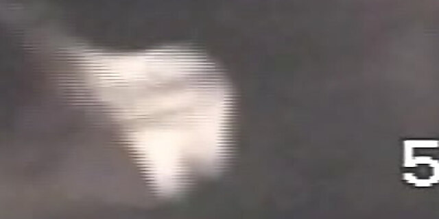 blowjob