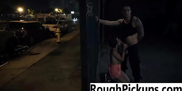 outdoor,public,rough,sex